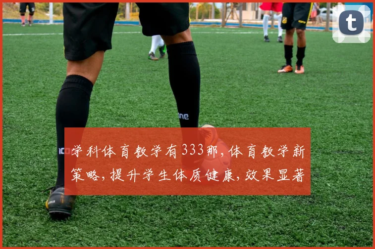 学科体育教学有333那,体育教学新策略,提升学生体质健康,效果显著