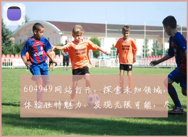 604949网站打开，探索未知领域，体验独特魅力，发现无限可能，尽在掌握