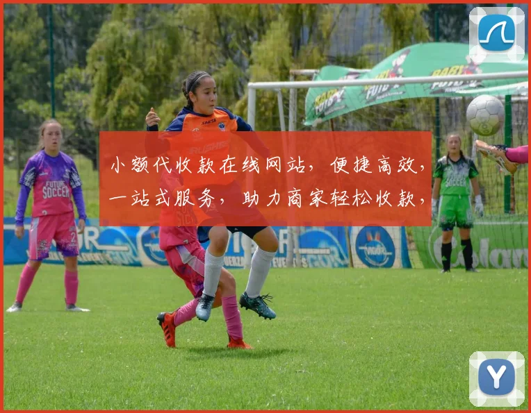 小额代收款在线网站，便捷高效，一站式服务，助力商家轻松收款，3大优势，必看
